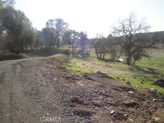 4288 Olive Highway Property Photo 8