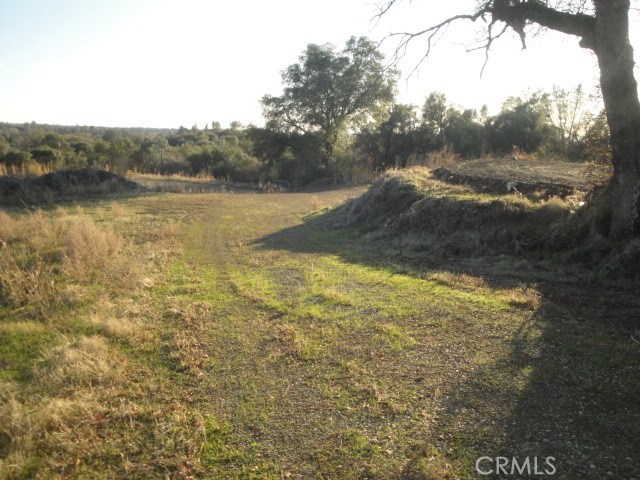 4288 Olive Highway Property Photo 10