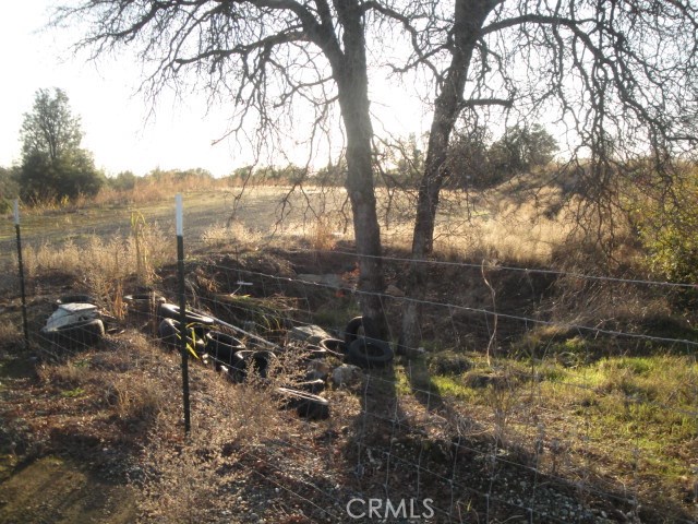 4288 Olive Highway Property Photo 16