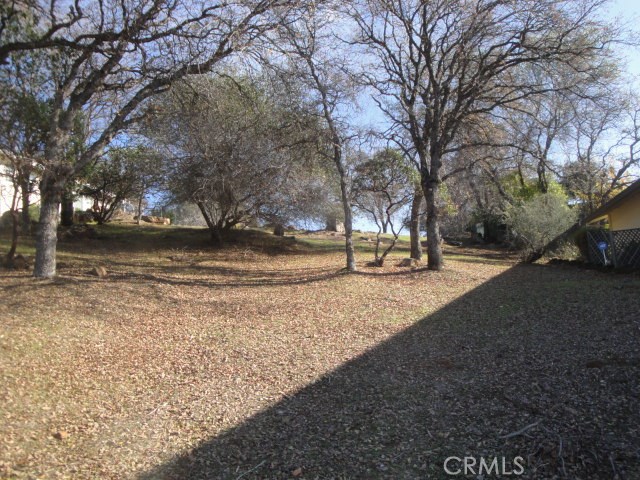 0 Beckwourth Way Property Photo 7