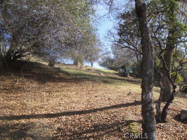0 Beckwourth Way Property Photo 8
