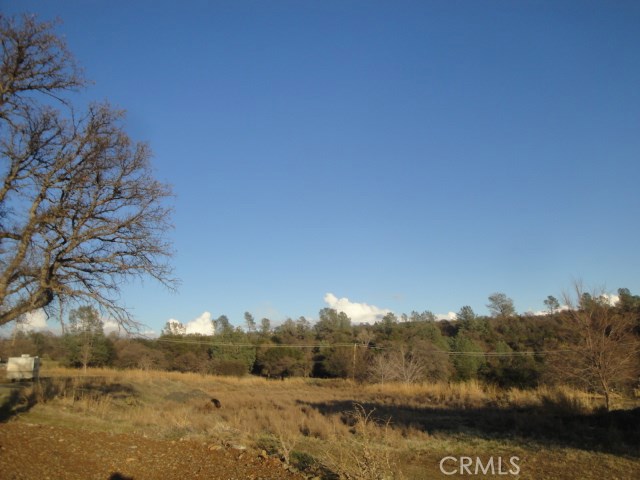 4288 Olive Property Photo 2