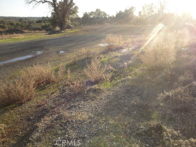 4288 Olive Property Photo 6