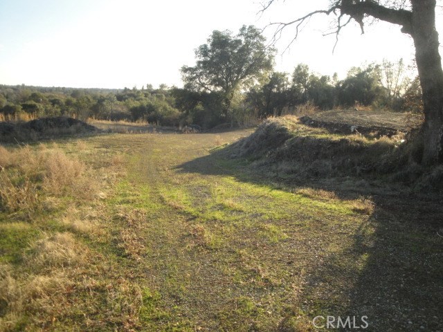 4288 Olive Property Photo 7