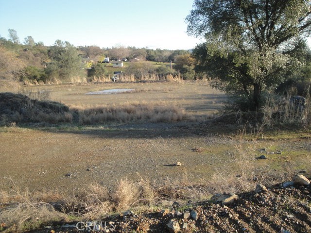 4288 Olive Property Photo 8