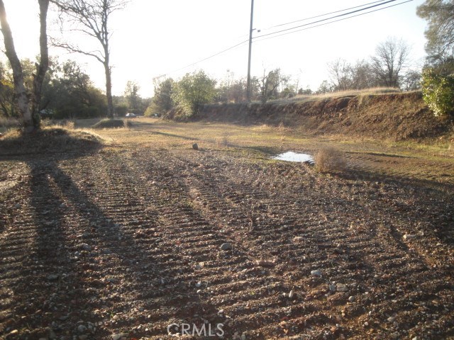 4288 Olive Property Photo 9