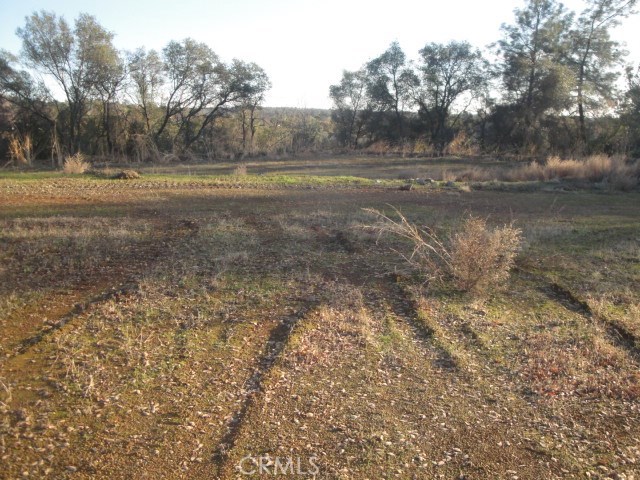 4288 Olive Property Photo 10