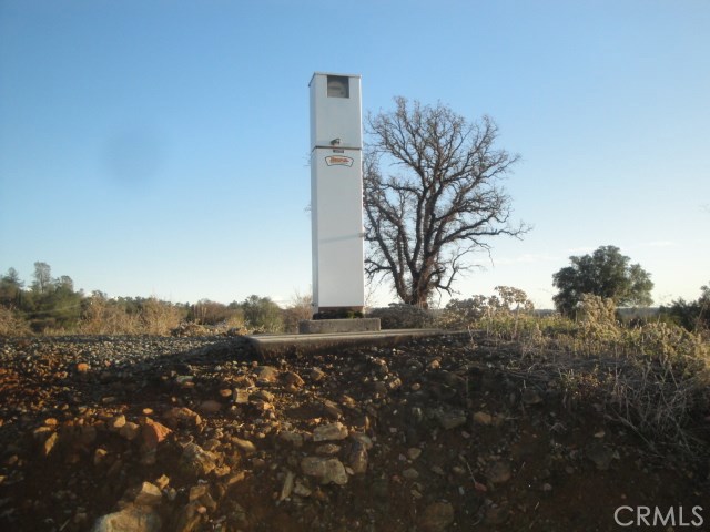 4288 Olive Property Photo 12