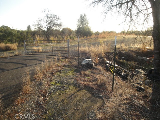 4288 Olive Property Photo 13