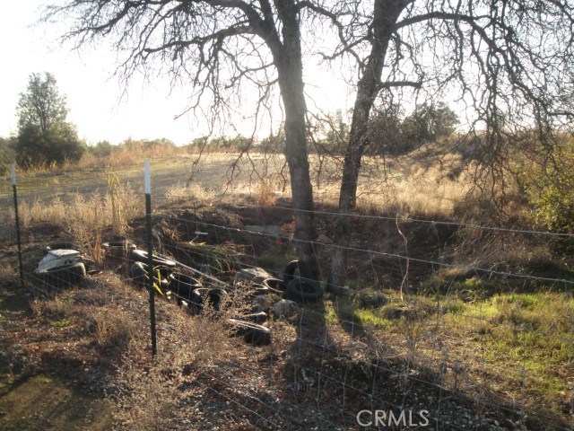 4288 Olive Property Photo 14