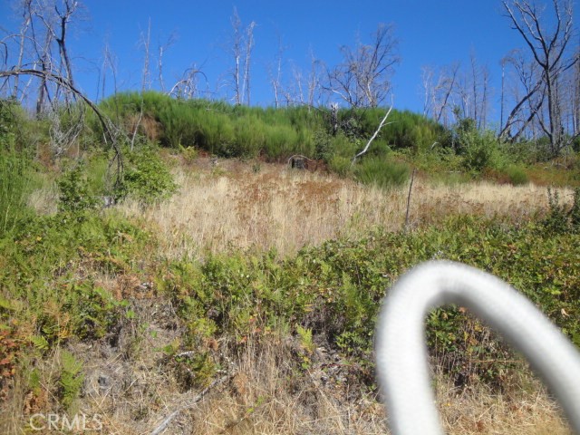 0 Meadow Lane Property Photo 2
