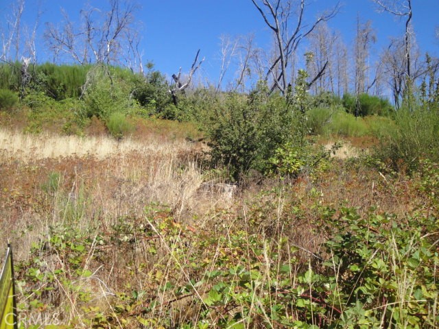 0 Meadow Lane Property Photo 4