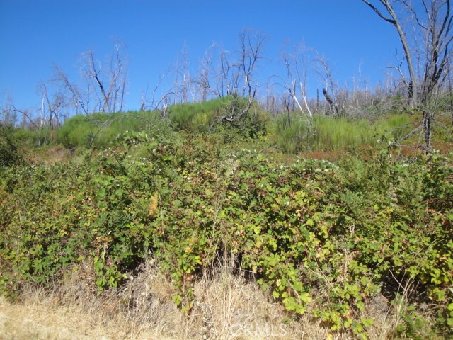 0 Meadow Lane Property Photo 5