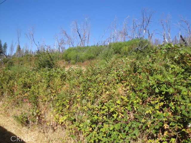 0 Meadow Lane Property Photo 6