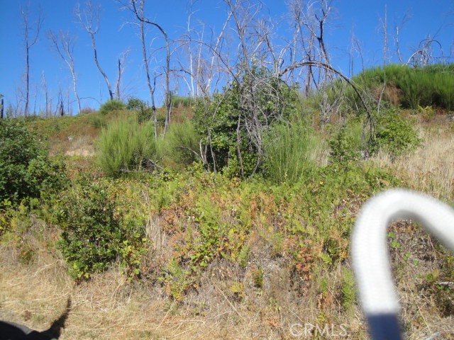 0 Meadow Lane Property Photo 1