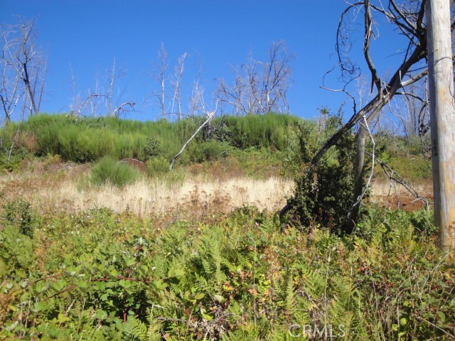0 Meadow Lane Property Photo 3