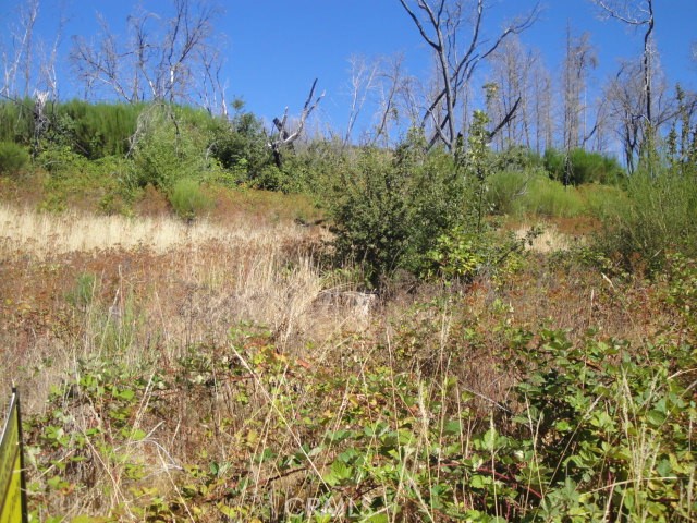 0 Meadow Lane Property Photo 4