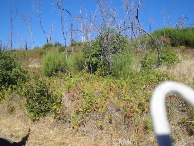 0 Meadow Lane Property Photo 1