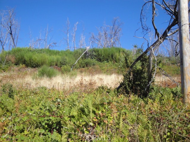 0 Meadow Lane Property Photo 3