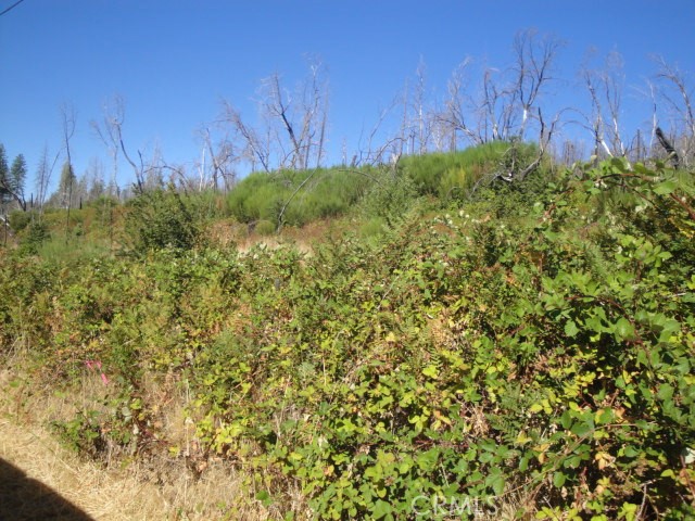 0 Meadow Lane Property Photo 6