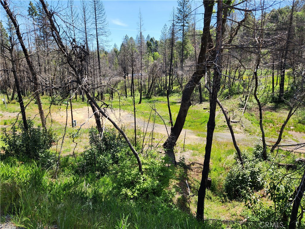 7 Huffright Lane Property Photo 5