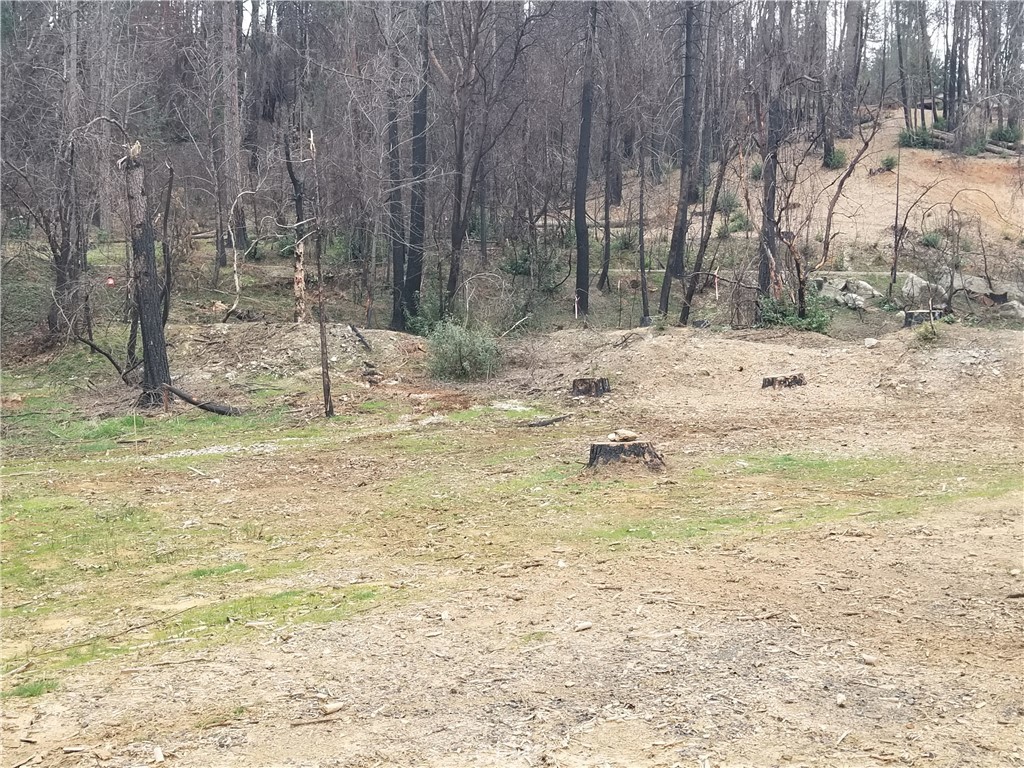 7 Huffright Lane Property Photo 15
