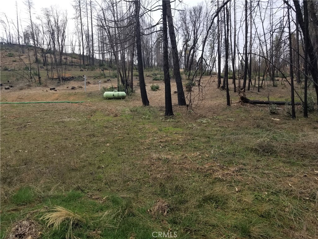 7 Huffright Lane Property Photo 19