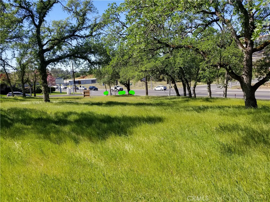 0 Olive Hwy Property Photo 2