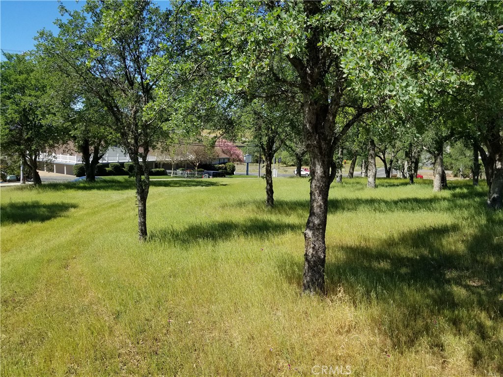0 Olive Hwy Property Photo 12