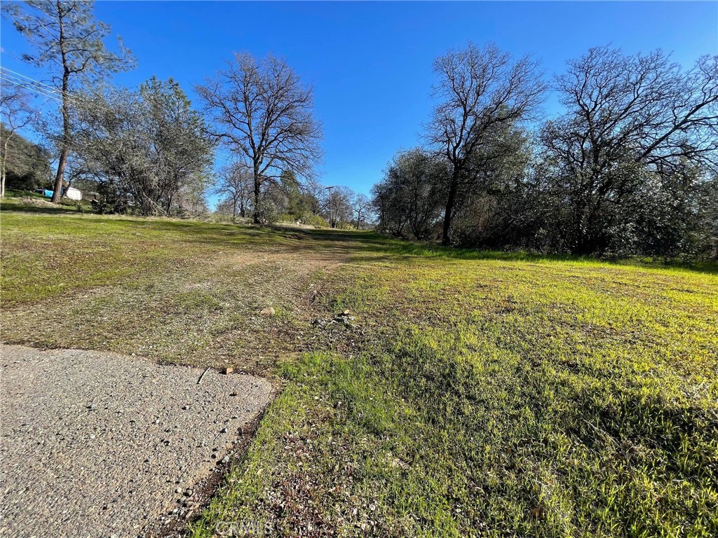 0 Olive Property Photo 1