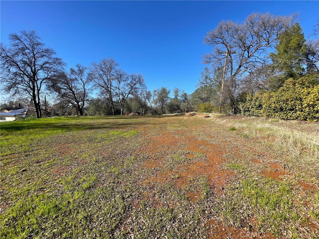 0 Olive Property Photo 4
