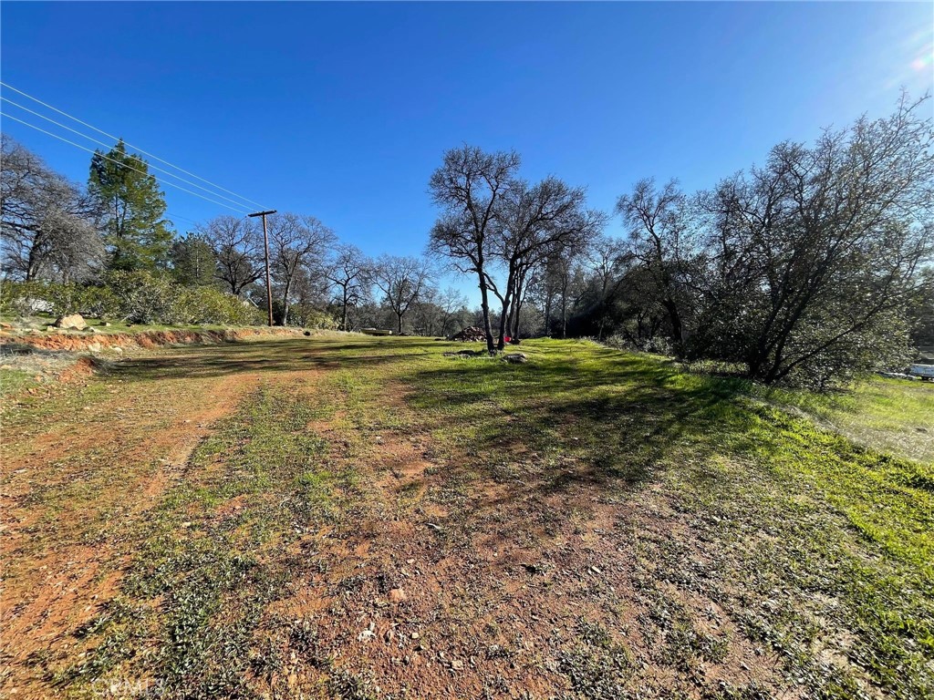 0 Olive Property Photo 6