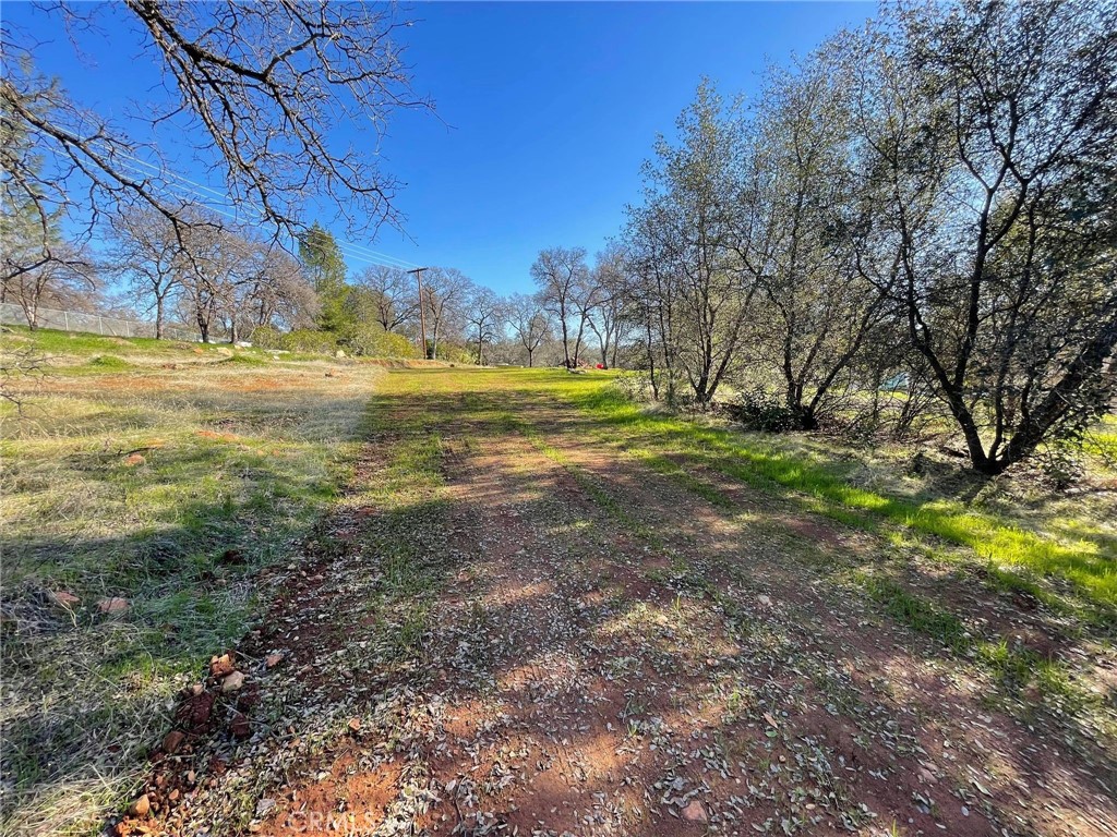 0 Olive Property Photo 7