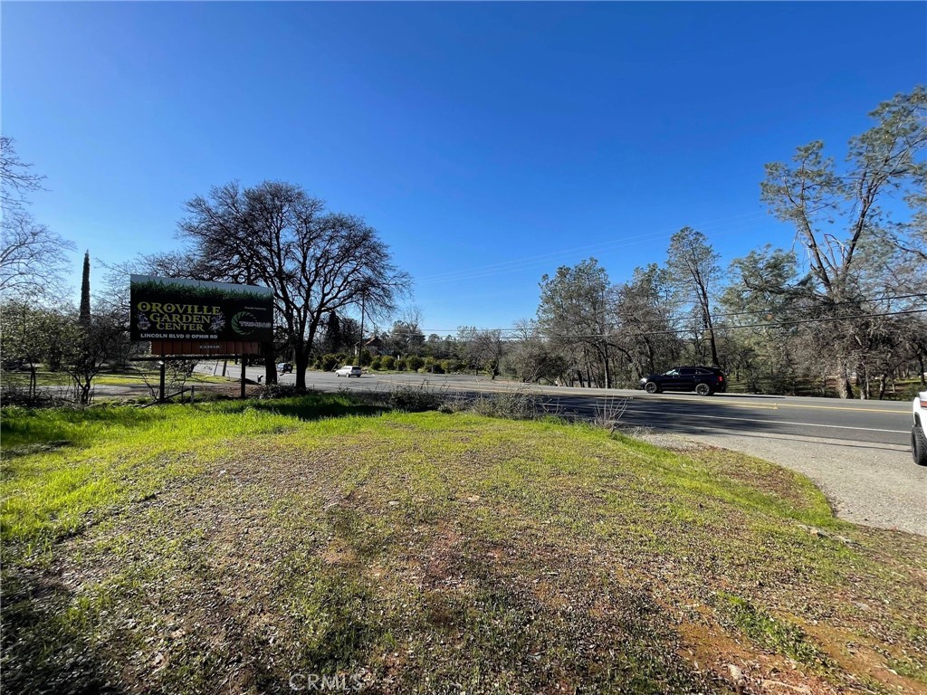 0 Olive Property Photo 8