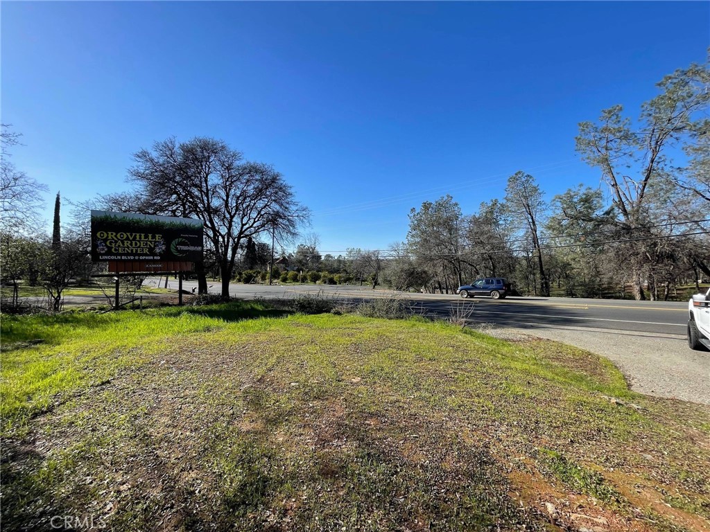 0 Olive Property Photo 10