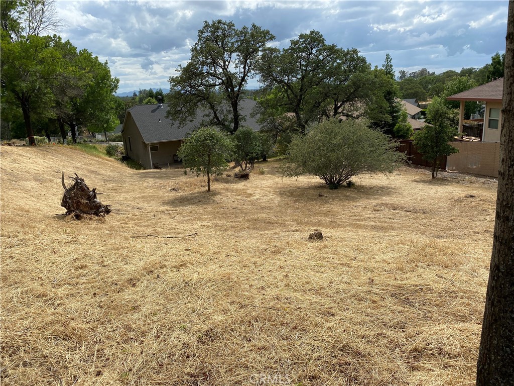 0 Butte Woods Drive Property Photo 1