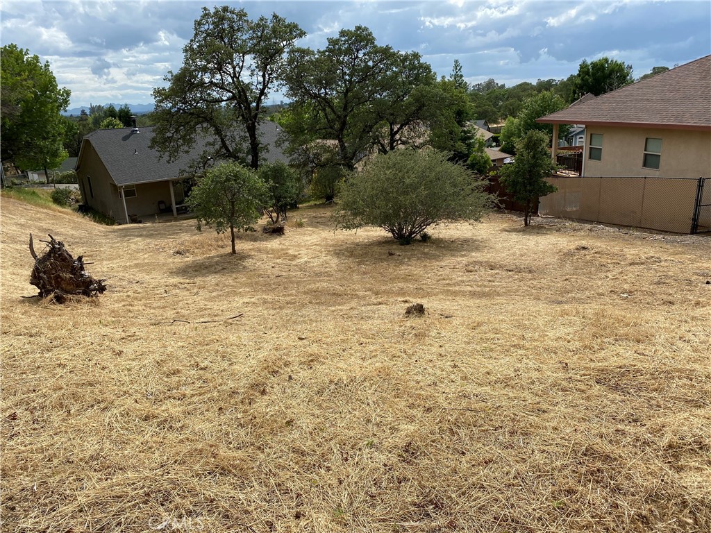 0 Butte Woods Drive Property Photo 2