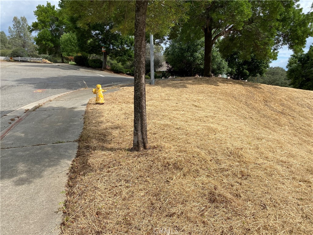0 Butte Woods Drive Property Photo 4