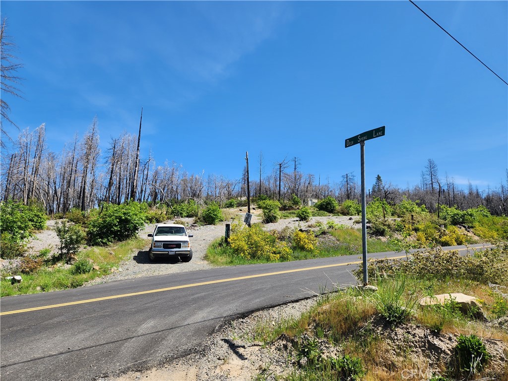 2175 Bald Rock Road Property Photo 1
