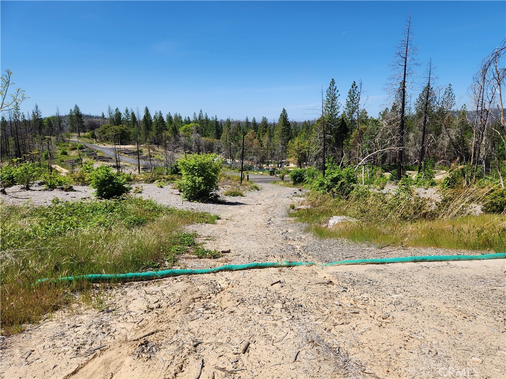 2175 Bald Rock Road Property Photo 6
