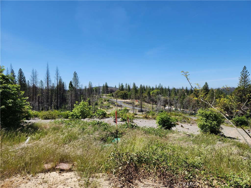 2175 Bald Rock Road Property Photo 7