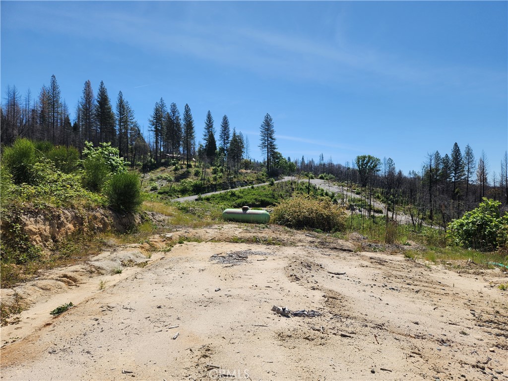 2175 Bald Rock Road Property Photo 8