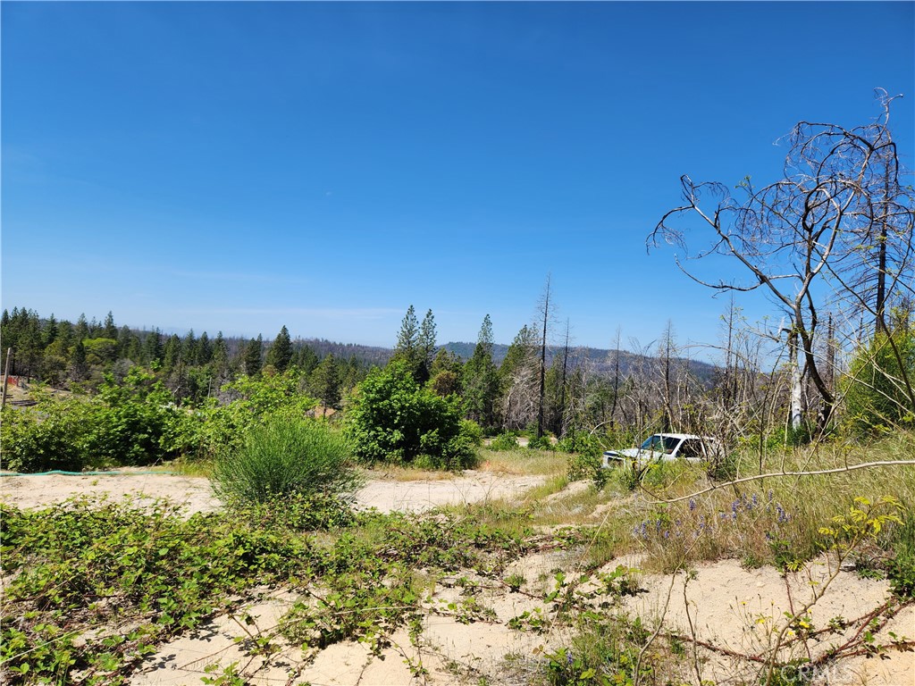 2175 Bald Rock Road Property Photo 11