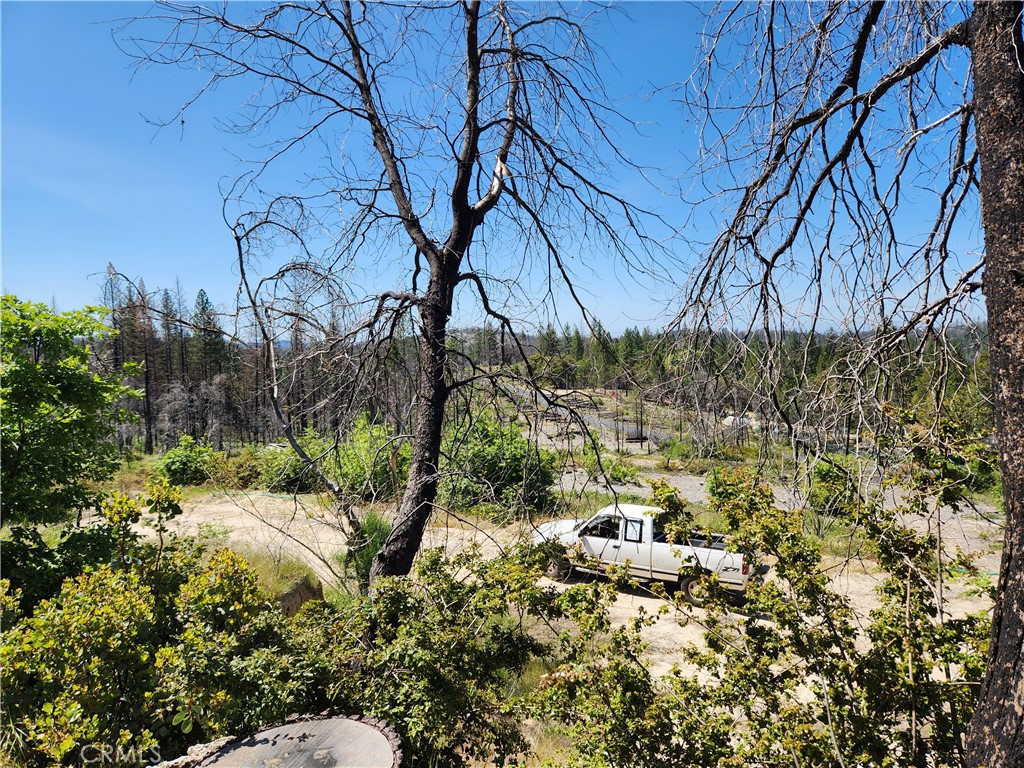2175 Bald Rock Road Property Photo 12