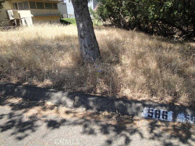 586 Silver Leaf Drive Property Photo 1