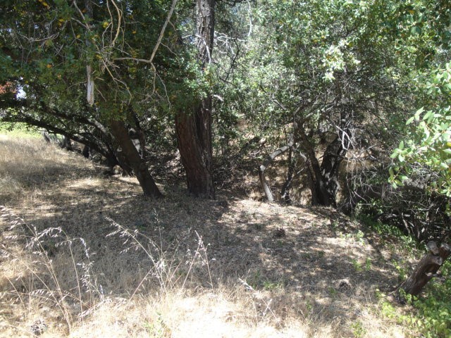 586 Silver Leaf Drive Property Photo 4