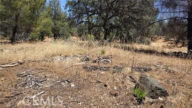 0 Colina Property Photo 1