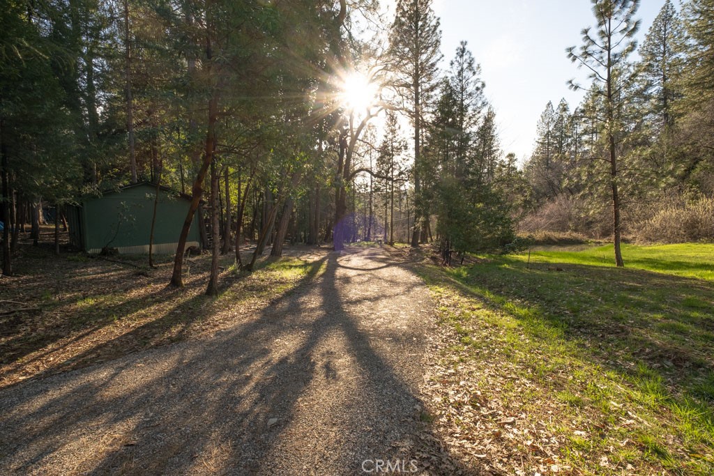 16648 New York House Road Property Photo 2
