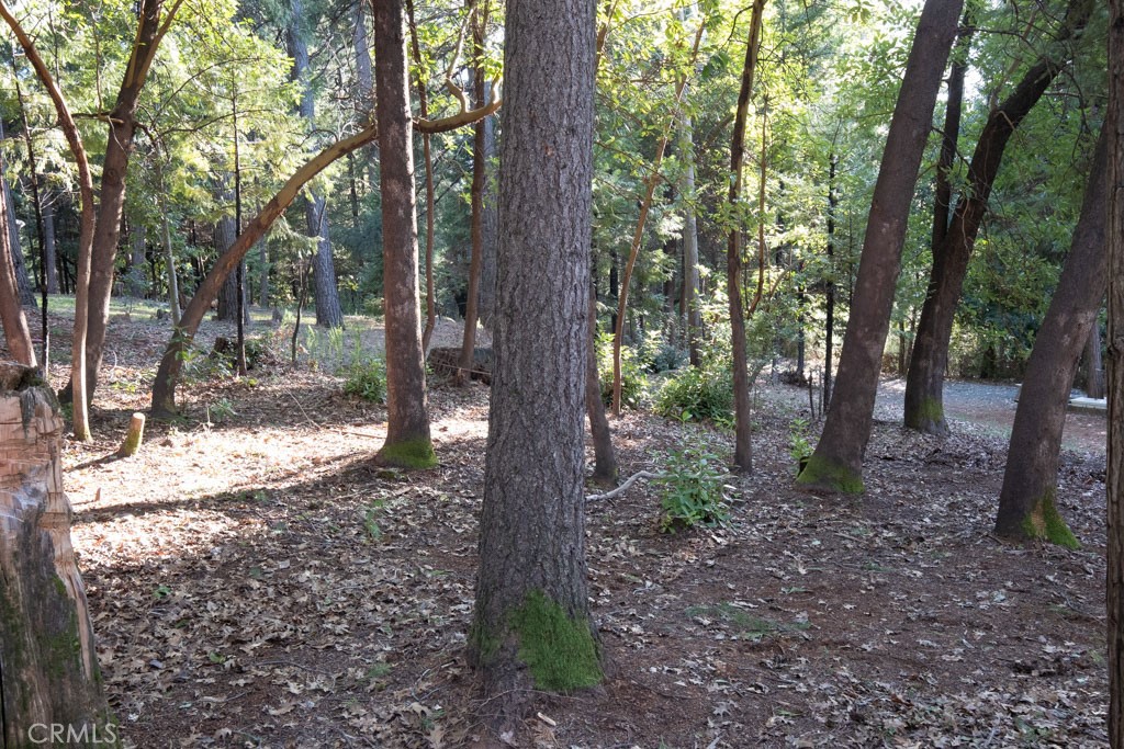16648 New York House Road Property Photo 29