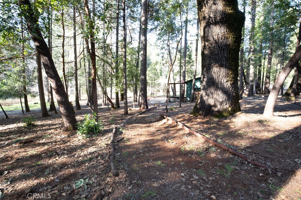 16648 New York House Road Property Photo 30